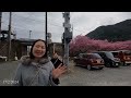 🇯🇵 Lễ Hội Hoa Anh Đào Kawazu zakura Nở Sớm Nhật Bản | Kawazu Sakura Festival in Shizuoka 2024 #248