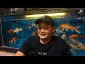 Selamat untuk 3 orang pemenang give away dari mancing sukamandi gati Semoga bermanfaat #video #fish