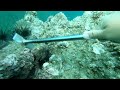 【ウニ駆除 #17】台風が迫る海でウニをひたすら割る！　Exterminate sea urchins to protect seaweed and sea environment