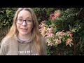 Publication Day for Introverts! #authortube