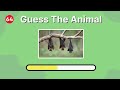 Guess 80 Animal in 3 Second 🦁🐶 | Easy to Impossible