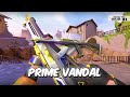 My Viewers Ranked Every Vandal Skin From Worst to Best