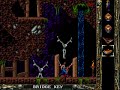 PC Longplay [213] Blackthorne