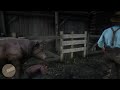 Red Dead Redemption 2_20181125002529