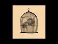 Rule #34 - Fish In A Birdcage (Unofficial Instrumental)