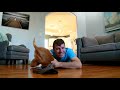 Faking My Death In Front of My Dog - Funny Dog Reacts