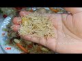 Afghani Kabuli Pulao Recipe |How To Make Authentic Afghani Pulao |افغانی پلاؤ |Musarat Food Secrets