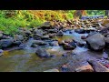 🔴 Natural Sounds Waterfall Meditation Relaxation River | Calming Forest River Water Flow, ASMR