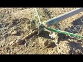 A genius way to set a net trap/ This method is used to hunt the peregrine falcon in the Middle East