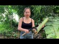 Beautiful Girl Setting Up Bamboo Tent - Building a Warm Survival Shelter- ASMR Cooking