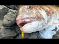 Giant Fish Fishing on the Shore