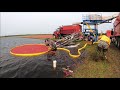 Cranberry Harvest 2020