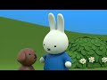 Snail in the Strawberry Patch | Miffy | Full Episodes