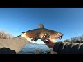 TESTING The NEW WALMART RODS On FAT CATFISH (Cheap Rod vs Feisty Fish)