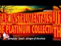 Guitar Instrumentals Hits The Platinum Collection - High Quality Audio / guitar by vladan