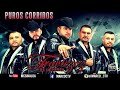 Traviesos De La Zierra (Corridos En Vivo)