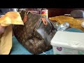 Cleaning and conditioning my 29 year old Louis Vuitton Speedy! #LouisVuitton #cleanbag