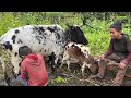 Most Peaceful Nepali Mountain Village Life in Rain || Happy Pepople Living with Nature || IamSuman