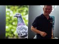 BLACKPOOL RACING PIGEON SHOW 2024 SEASIDE VIDEO