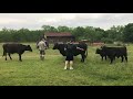 Feeding time at Russell's River Ranch