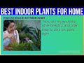 10 HEALTHIEST Indoor Plants You Must Have In Your Home ALWAYS!