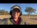 Metal Detecting on top of a Hill at a 1800's RUIN #history #relics #adventure #artefacts