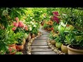 Dream Garden in Your Home, Bringing the Tropical Inside || Inspiring Home