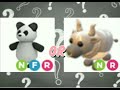 Should I make a  NFR panda or a NR metal ox?