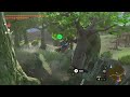 Zelda - Tears of the Kindom - 278 | Switch 1440p