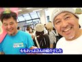 【爬虫類イベント】ぶりくら潜入してみた【国内繁殖】