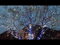 Twinkle lite tree - 1