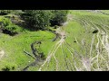 Stuyvesant Brook - Marsh farm 3, Rt 21