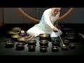 Tibetan Bowls: Invoking Inner Peace and Deep Relaxation#singingbowl#meditationmusic#soundbathssleep