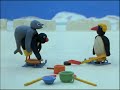 Pinga is Born! | Pingu Official | 1 Hour | Cartoons for Kids