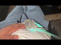 Kiko the Budgie nibbling on my hands