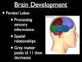 Adolescent Brain Development - Part 1