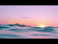 [NEW] Tropical Sun Wave Afro Beat Type Instrumental!