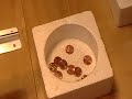 Fast and Proficient penny sorter