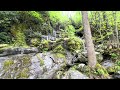 One Minute Relaxing Great Smokey Mountains Waterfall Sounds 7