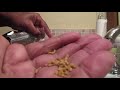 GROW CROWN USING Fenugreek Seeds & RICE WATER MIX