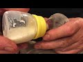 Bo Peep's Journey, Bottle Feeding Puppies With Goats Milk!