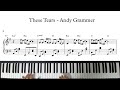 Andy Grammer - These Tears / Piano Cover / Sheet / 피아노 커버 / 피아노 악보