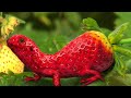 top 5 strawberry animals