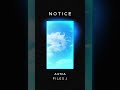 ARMA & Files J - Notice