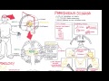 Parkinson's Disease (Shaking Palsy) - Clinical Presentation and Pathophysiology