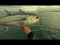 Hervey Bay Fishing | Fishing for pelagic in PARADISE !