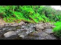 Relax With Serene Scenery And Flowing Waters - Soothing Sounds Of Flowing Streams And Rocks