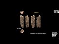 HOT (Human Origins Today) Topic – Beyond Neanderthals: Ancient DNA and the Denisovans