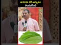 జామాకు చేసే అద్భుతం తెలుసుకోండి | guava leaves benefits | Dr. Ravi Verma | PMC Health
