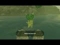 BOTW PT 20 Korok hunting